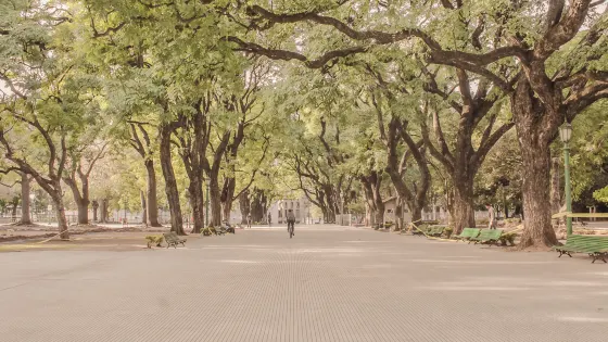 Plaza del Tango
