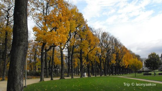 Cinquantenaire Park
