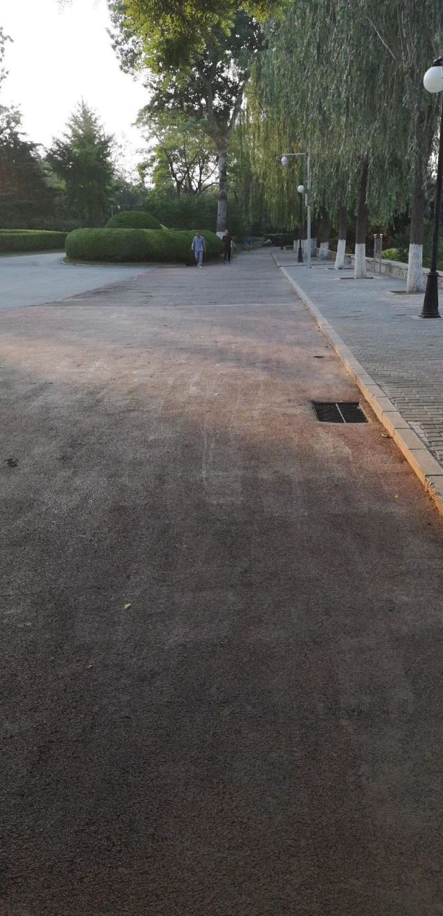 龙潭西湖公园旅行图片 9