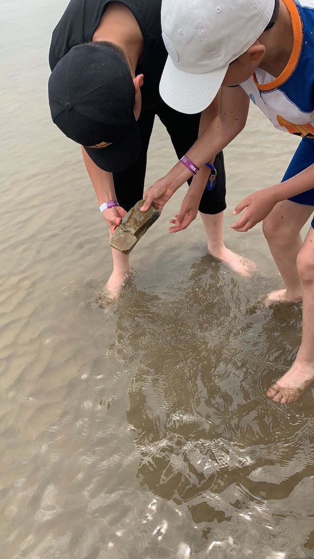 赶海一号旅行图片 4