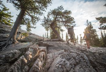 丹佛+洛矶山国家公园一日游【来自落基山脉的视觉震撼】【注意：我们包车是10小时中文服务，不是友商的8小时~注意甄别~只包车-不拼车-不组团-市区上门接送】