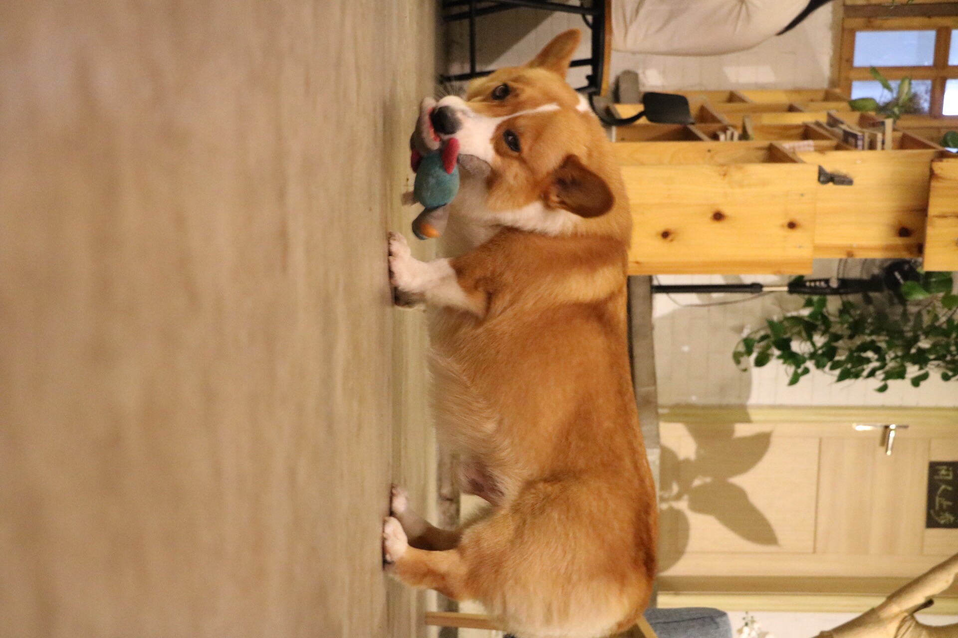 慢点BAR餐厅图片