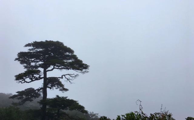 三江源国家公园旅行图片 3