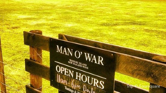 Man O' War Vineyards