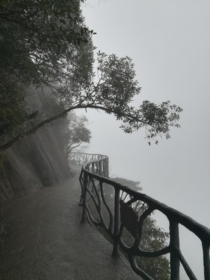 雨雾中的江西三清山，目视不到10米
