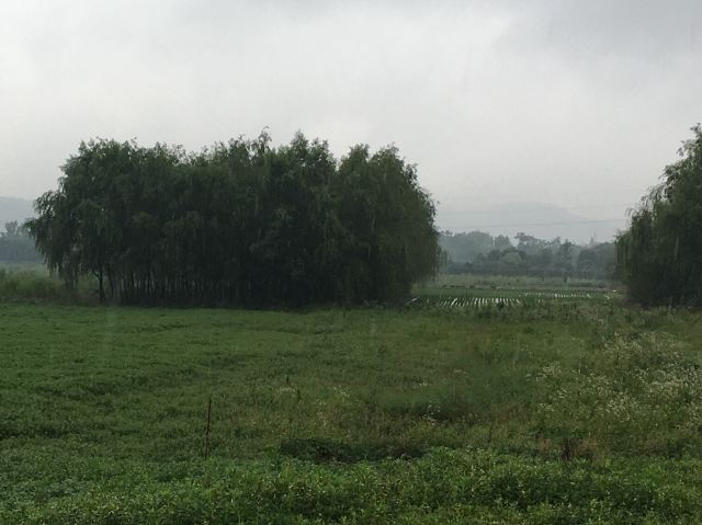良渚文化村