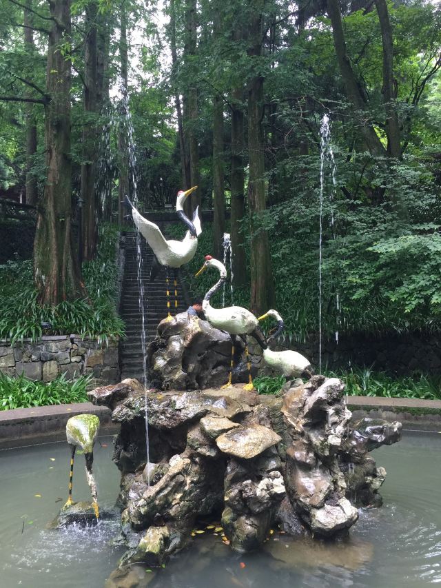 芦花荡公园-园门旅行图片 3
