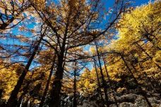 甘孜俄初山-稻城-在路上的Jorick