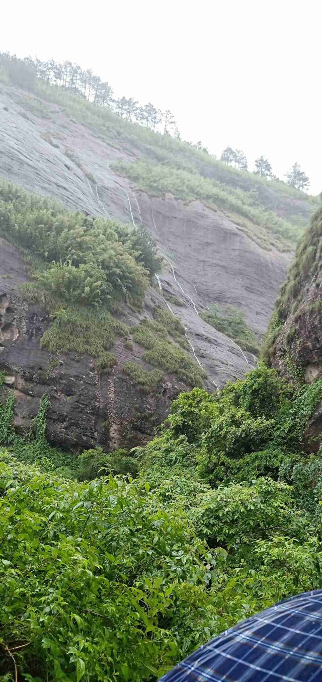 青龙岩风景区旅行图片 5