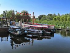 白洋淀风景区-雄县-YoYo_9T5Y9T5L