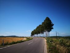 美瑛町-YoYo_5B7Q4F5V