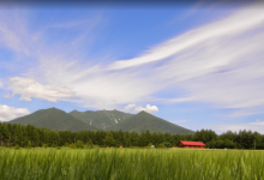 羊之丘薰衣草园景点图片