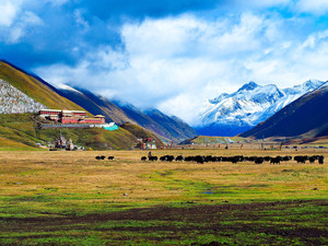 康定游记图文-以梦为马，不负韶华，自驾川藏北线，走进西藏康巴，在国道317遇见最美秋色