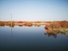 塔里木沙漠公路-且末-梦想成真了啊