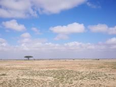 安波塞利国家公园-Amboseli-juki235
