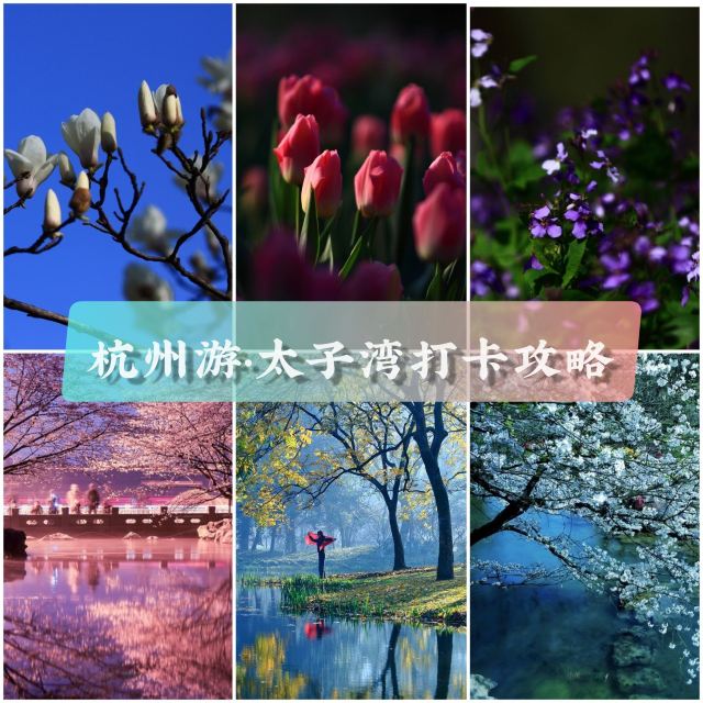太子灣公園