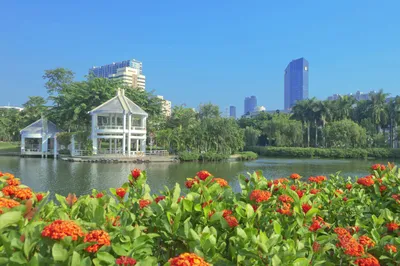 南湖公园