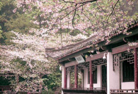 2人起私家团鼋头渚三国城水浒城一日游无锡苏州常州泰州上门接送【所选城市市区免费上门接送，方便快捷，省时省力（时间可微调）】