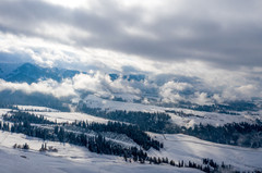新疆游记图片] 比东北还美的雪景，不在内蒙在新疆，日落星空轮番上阵