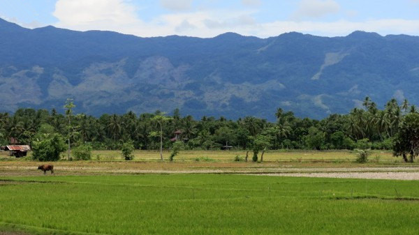 班达亚齐（Banda Aceh），是印度尼西亚亚齐特区首，而韦岛，则是亚齐最西北端的一个美丽、原始的