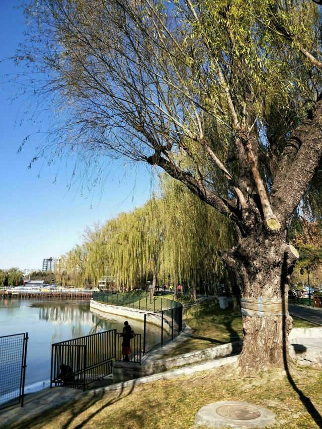 陶然亭旅行图片 2