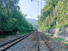 岚山-京都-用脚下的路丈量这个世界