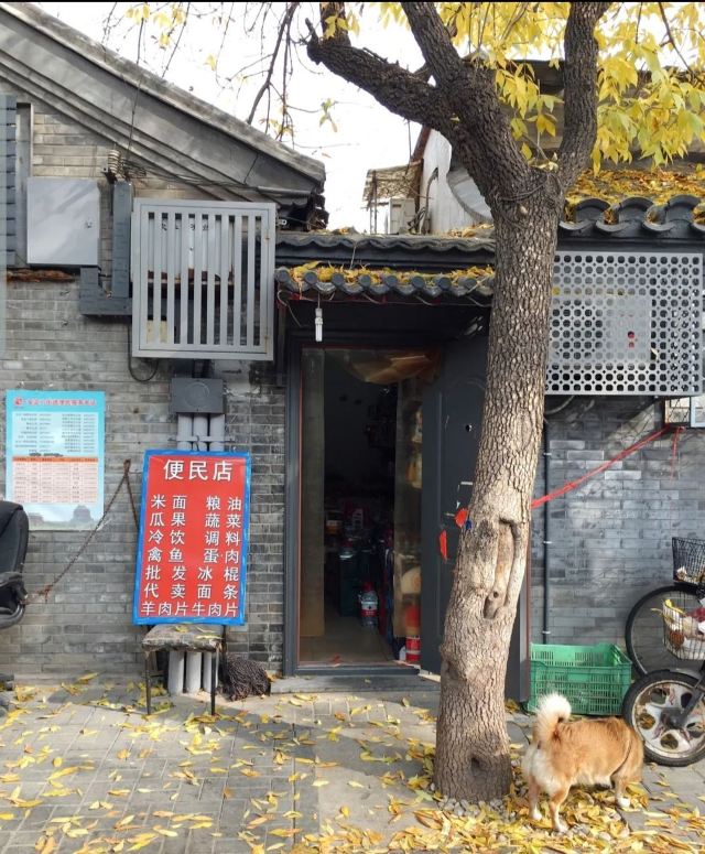 北锣鼓巷旅行图片 1