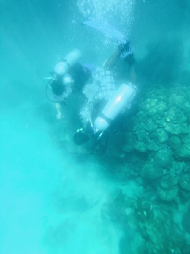 芭雅島潛水