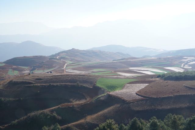 乐谱凹旅行图片 3