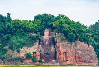 熊猫基地+乐山大佛一日游【1单1团·高品质纯玩·三环内接送】【[舒适车型五座起]朋友式司机，纯玩无套路，专属司机1v1服务！】
