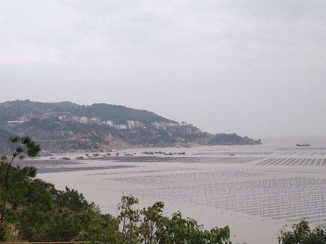 小皓海滩旅行图片 4