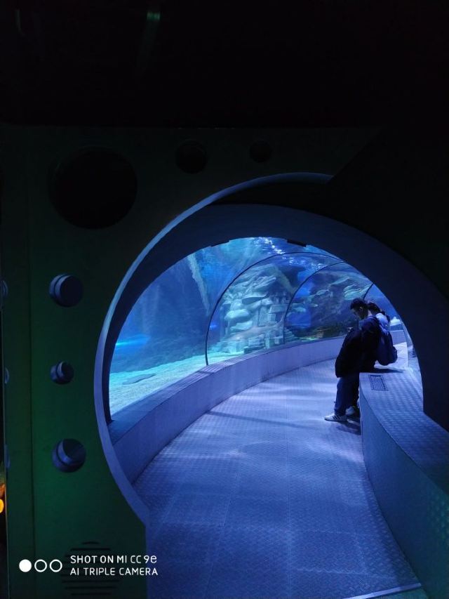 Changfeng Ocean World