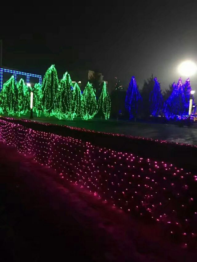 农安辽塔旅行图片 3
