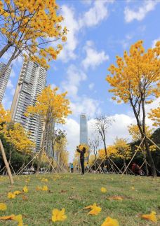 珠江公园-广州-YoYo_2D8I7D0H