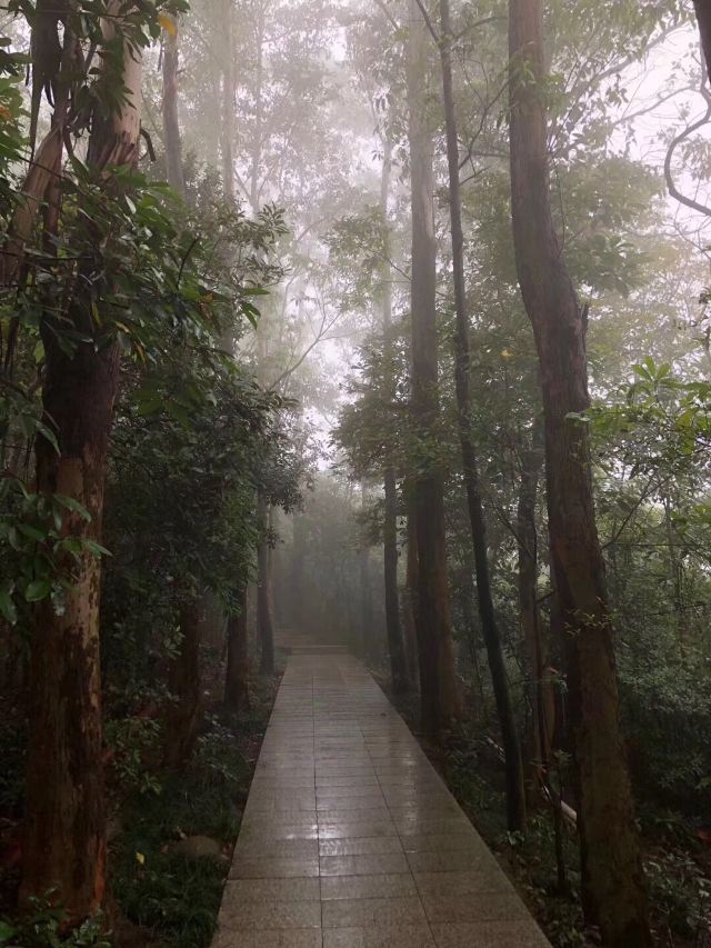 小南山公园旅行图片 2