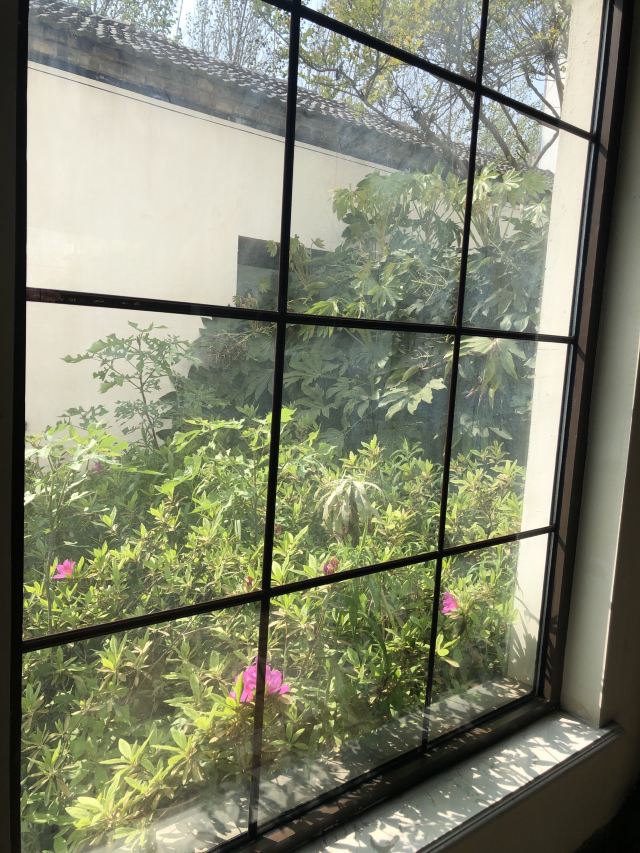 刘园古徽州文化园旅行图片 2