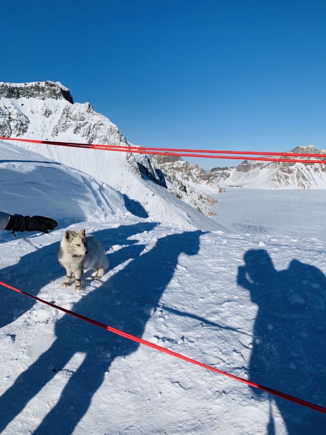 West Slope of Changbai Mountain Scenic Area