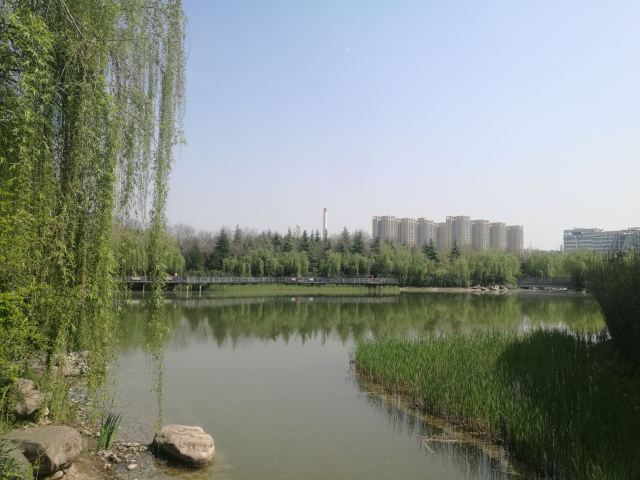 航天城中湖公园旅行图片 2