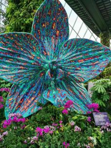 云雾林-新加坡-YoYo_1C7J3V2I