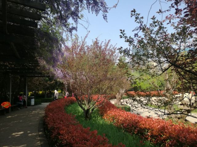 航天城中湖公园旅行图片 8