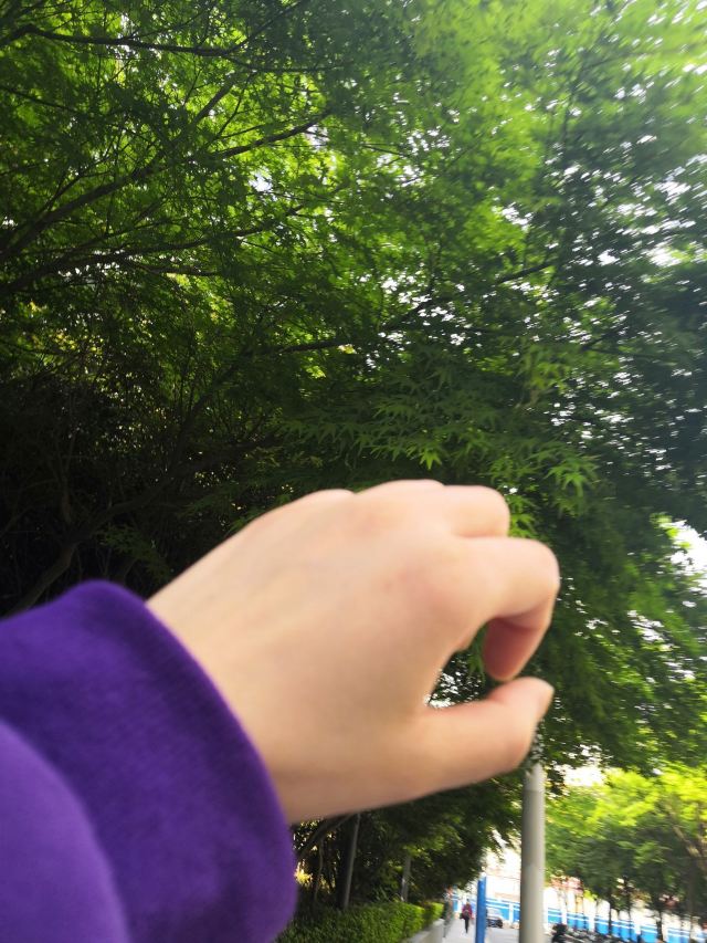 江浦公园旅行图片 1