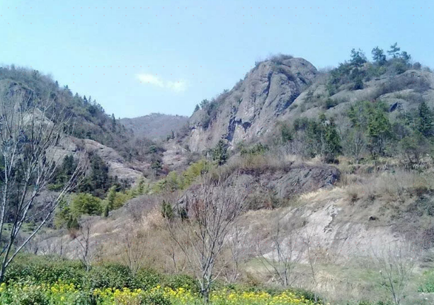 望母山梅方水库景点