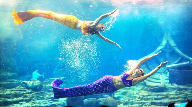 溱湖极地海洋世界