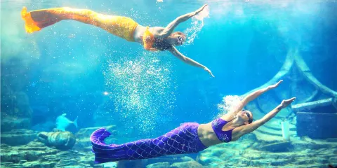 溱湖極地海洋世界