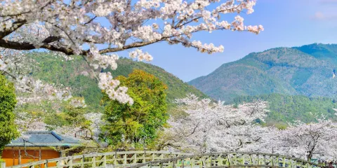 嵐山公園