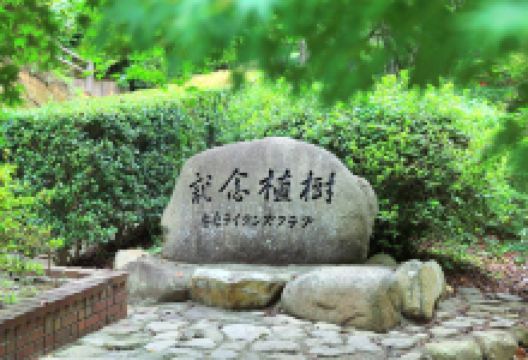 安来公园景点图片