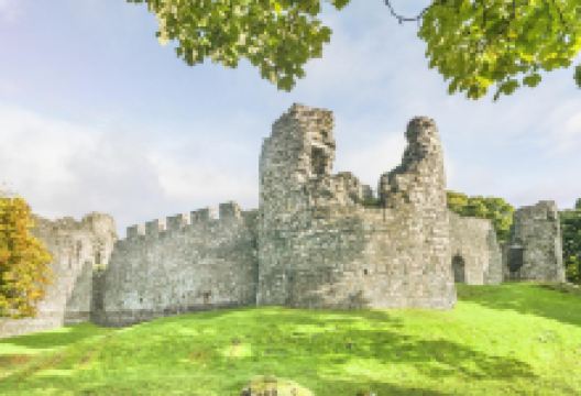 威廉堡景点图片