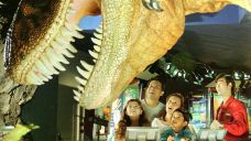 国油科学探索馆-吉隆坡-星小兔