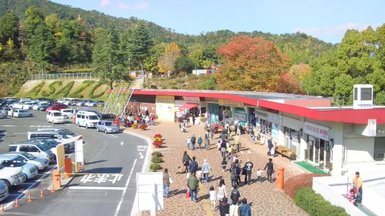 安佐動物公園