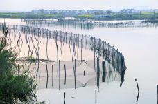 阳澄湖美人腿风景区-苏州-尊敬的会员